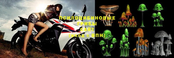 2c-b Алзамай