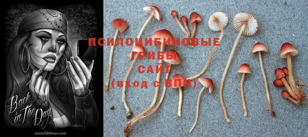 крисы Алексин
