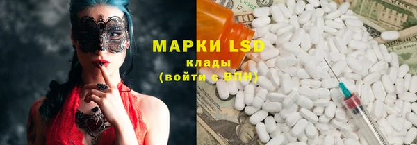 прущие грибы Алексеевка