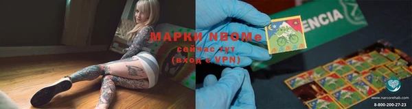 крисы Алексин